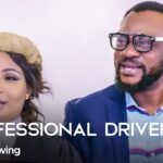 ProfessionalDriver