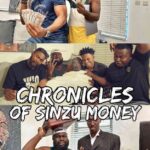 chroniclesofsinzumney