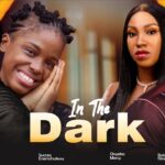 In The Dark (2024)