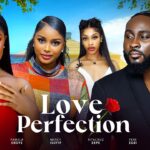 Love Perfection (2024)