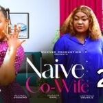 Naive Co-Wife (2024)